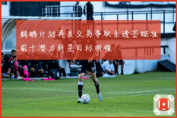 鹈鹕计划再度交易争取乐透签瞄准前十潜力新星目标明确